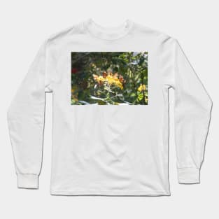 Monarch Carousel Long Sleeve T-Shirt